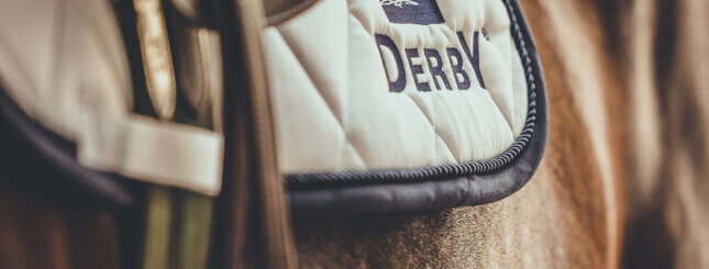 Fit durch die kalte Jahreszeit Muskulatur